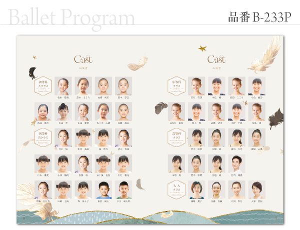 B-233 プログラム