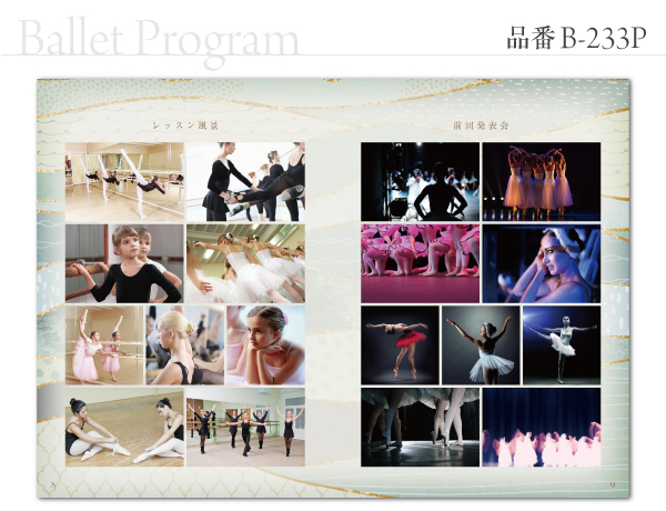 B-233 プログラム