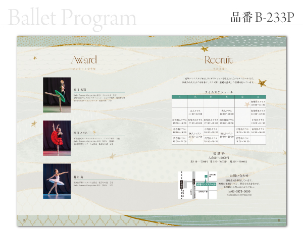 B-233 プログラム