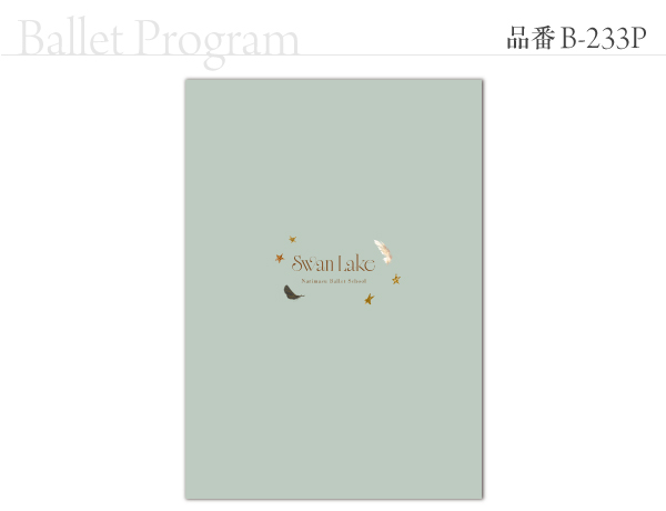 B-233 プログラム