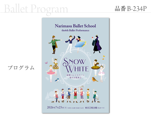 B-234 プログラム