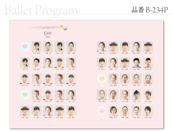 B-234 プログラム