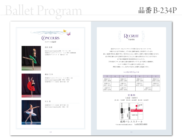 B-234 プログラム