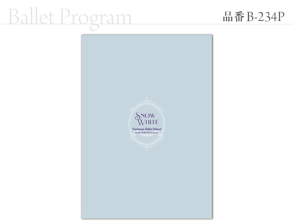 B-234 プログラム