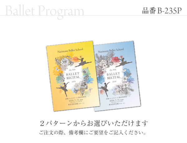 B-235 プログラム