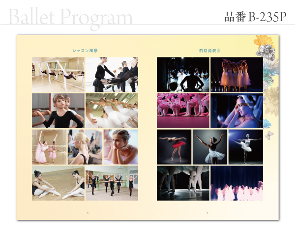 B-235 プログラム