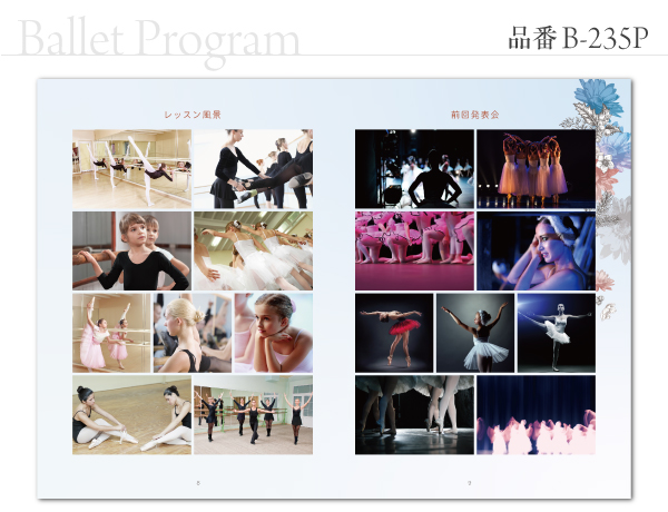 B-235 プログラム