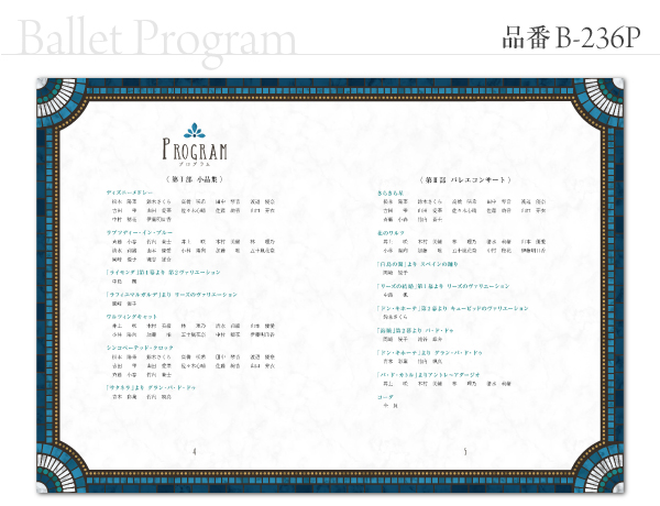 B-236 プログラム