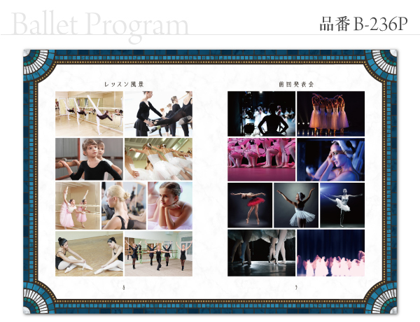 B-236 プログラム