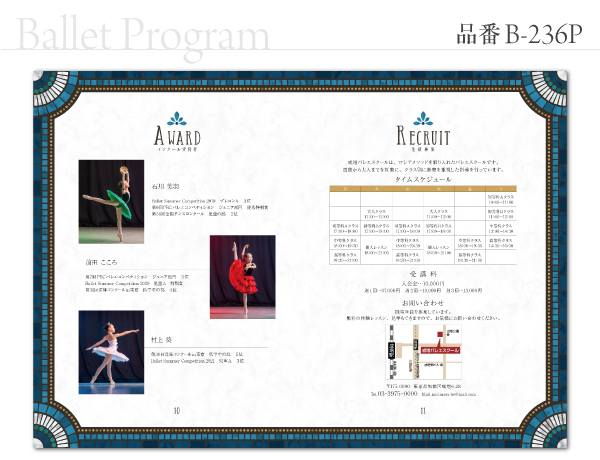 B-236 プログラム