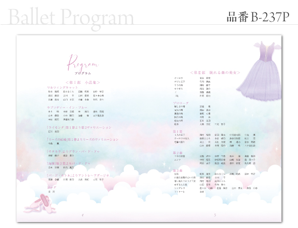 B-237 プログラム