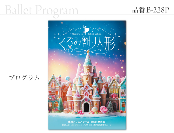 B-238 プログラム