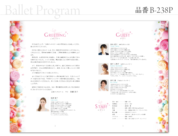 B-238 プログラム