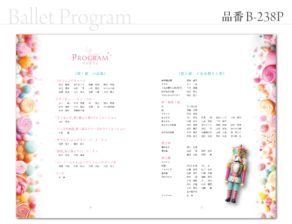 B-238 プログラム