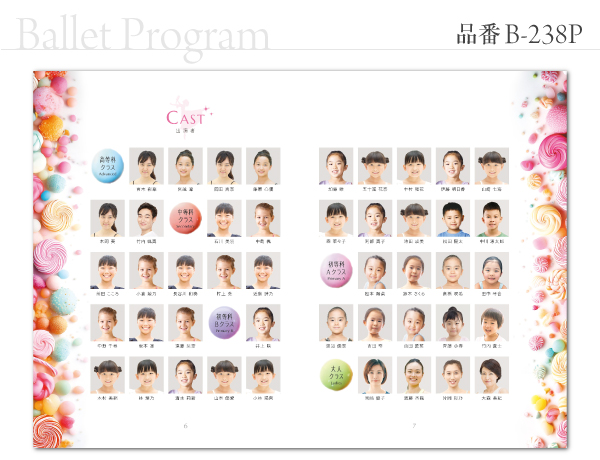 B-238 プログラム