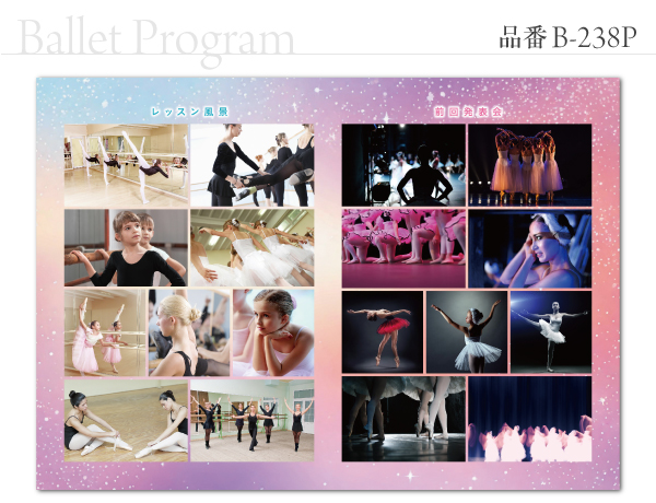 B-238 プログラム