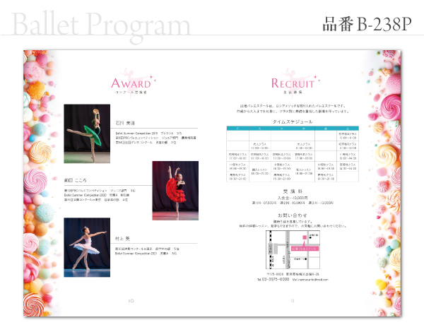 B-238 プログラム