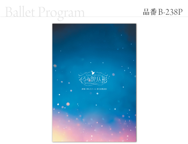 B-238 プログラム