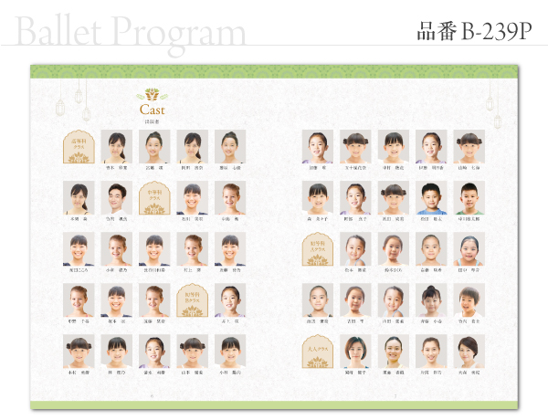 B-239 プログラム