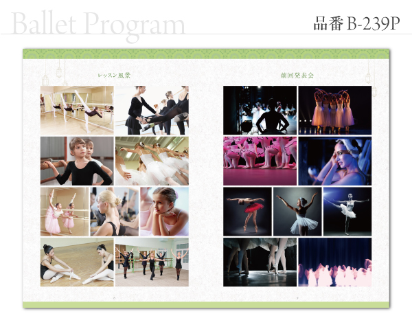 B-239 プログラム