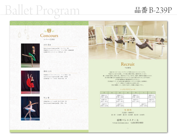 B-239 プログラム