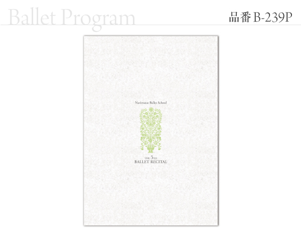 B-239 プログラム