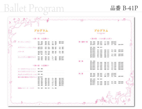 B-41 プログラム