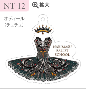 NT-12
